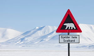excursions Svalbard